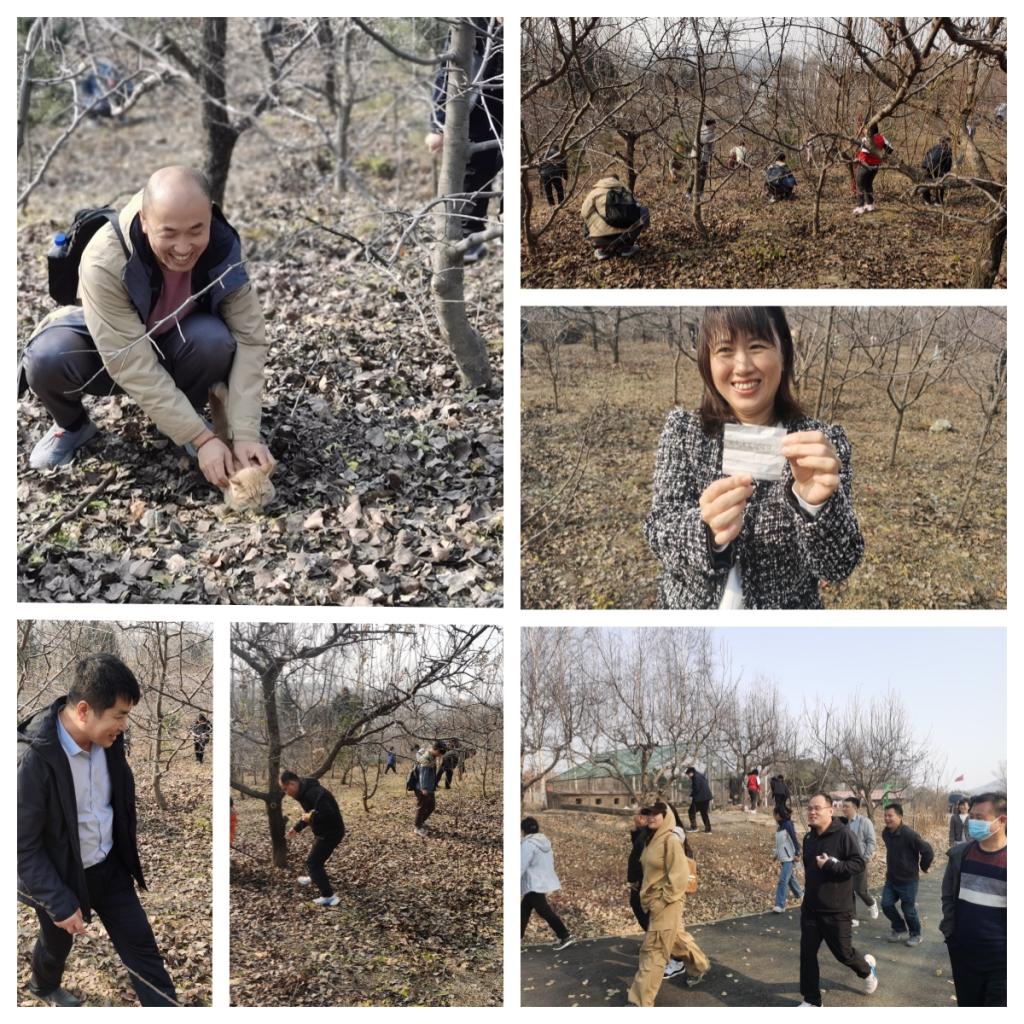 新澳彩开奖直播